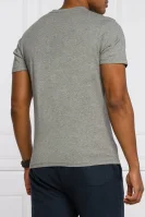 T-shirt Sallar | Regular Fit Napapijri γκρί