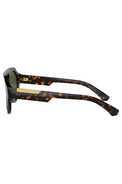 Γυαλιά ηλίου DG4466 Dolce & Gabbana χελωνί