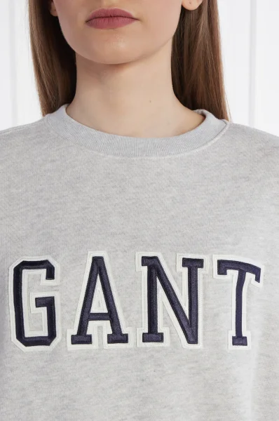 Μπλούζα | Oversize fit Gant γκρί