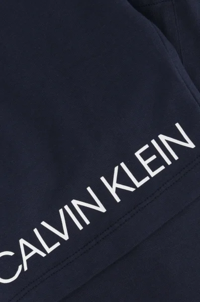 Σορτς | Regular Fit Calvin Klein Swimwear ναυτικό μπλε