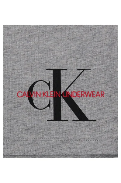Longsleeve | Regular Fit Calvin Klein Underwear γκρί